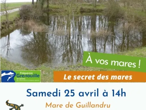 THIMERT-GÂTELLES - Nature : Le secret des mares