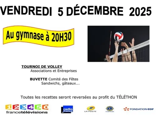TOURY - Tournoi de volley au profit du Téléthon