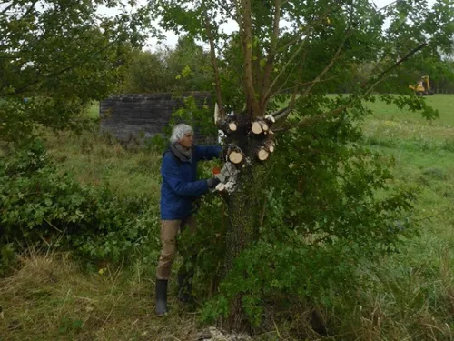 MARGON - Balade autour de la trogne