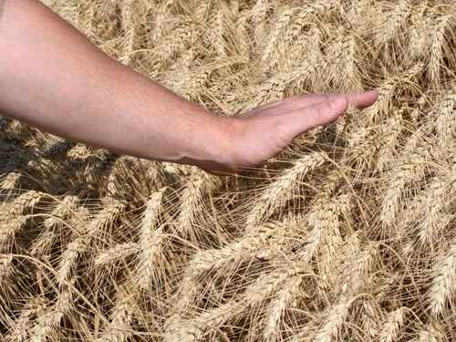 Un camion ambulant pour faciliter l’accès au monde agricole 