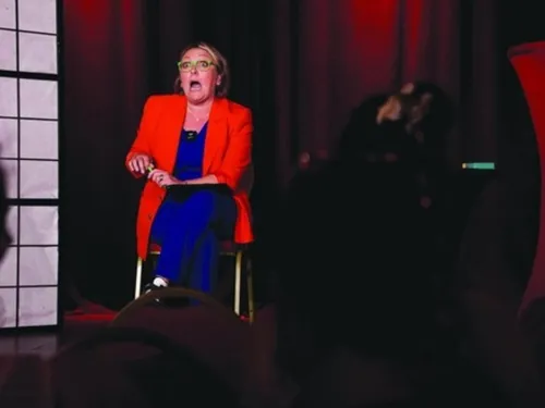 VIBRAYE (72) - Spectacle : Les cigognes ont perdu la tête