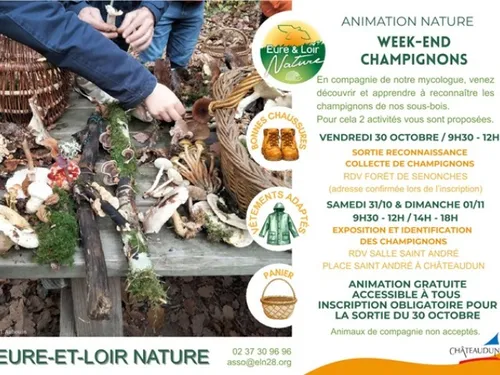 CHÂTEAUDUN - Week-end champignons