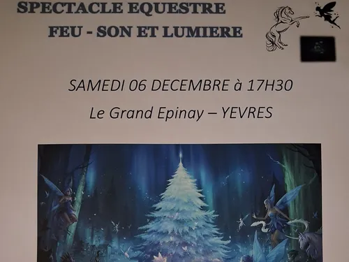 YÈVRES - Spectacle équestre : La féerie de Noël