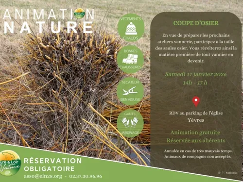 YÈVRES - Eure-et-Loir Nature : coupe d'osier