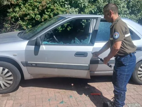 2 chiens sauvés hier dans le Pas de Calais, alors qu'ils étaient...