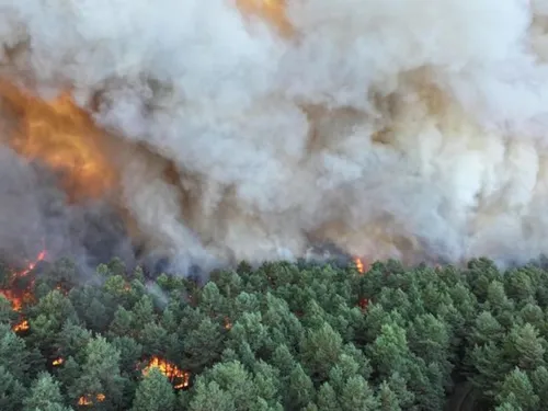 Un pompier reconnaît son implication, dans l'incendie de la forêt...