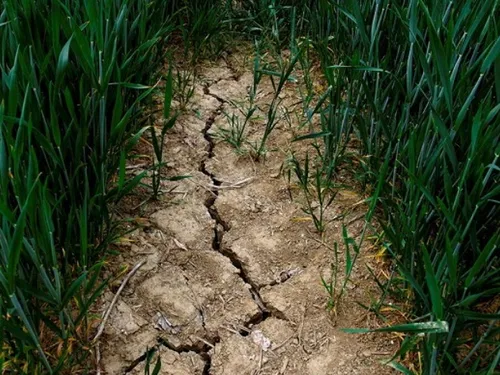 Sécheresse : les préfectures du Nord et du Pas de Calais annoncent...