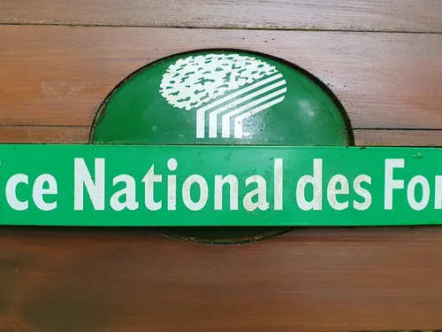 L’OFFICE NATIONAL DES FORÊTS, OU « DEMAIN PREND RACINE AUJOURD’HUI »
