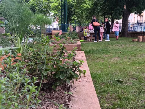 On respire enfin dans la cour végétalisée de l’école Le Graouilly !