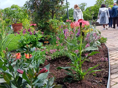 Jardin éphémère de Metz : profitez de l’édition 2024