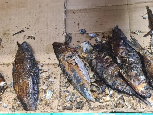 Consommation : des contrôles surprises dans des magasins de Metz