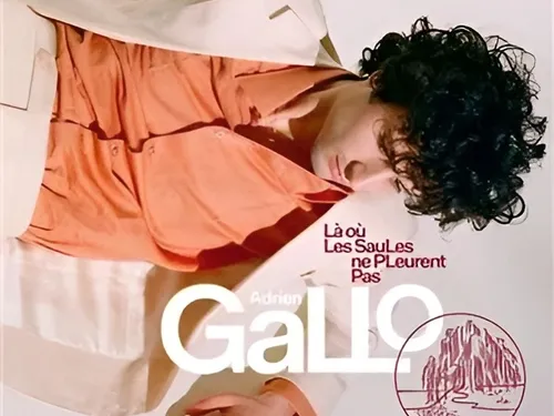Jeux : Gagnez vos places pour le concert de Adrien Gallot  à...