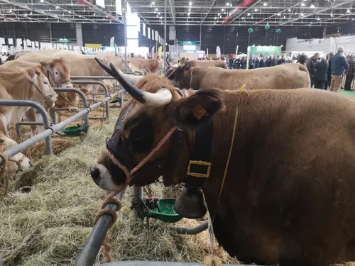 Agrimax : le salon de l’Agriculture ouvre ses portes ce mercredi à...