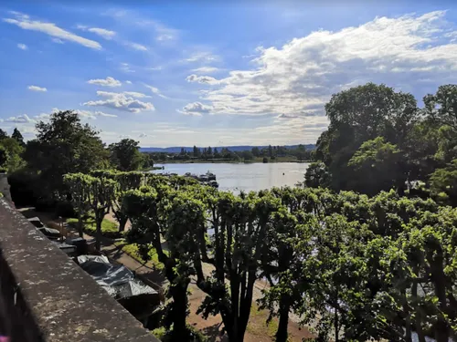 Metz : Une réunion publique sur la forêt urbaine de Devant-lès-Ponts