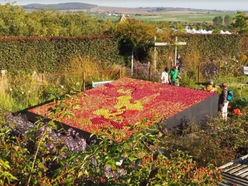Voici les sorties insolites du mois d’août en Moselle