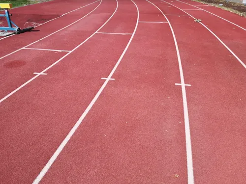 Championnats européens de Munich : 21 sportifs du Grand Est...