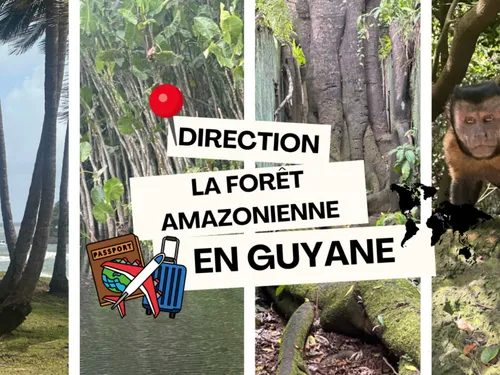 DESTINATION VOYAGE – La forêt amazonienne en Guyane