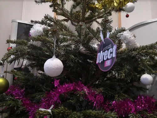 Nancy : que faire de son sapin après le fête ?