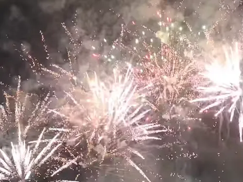 Fête de la mirabelle : le programme d’un samedi d’exception à Metz