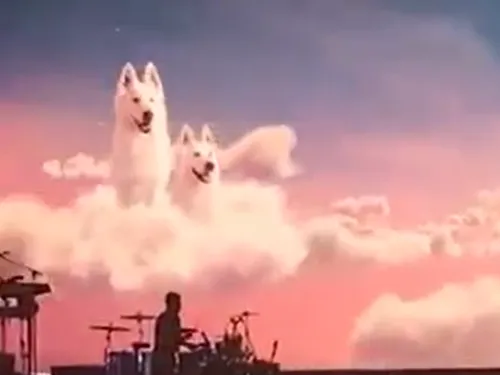 Wake Up : Vos places pour le concert de Julien Doré au Zénith de Nancy