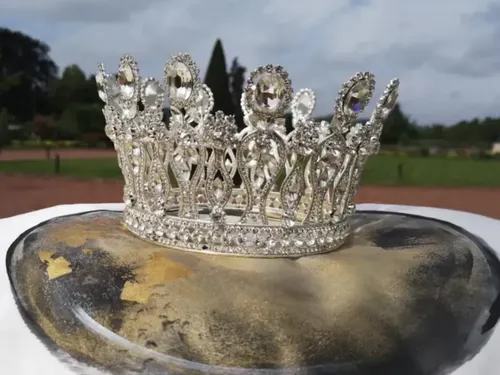 Reine de la Mirabelle : les inscriptions sont ouvertes !