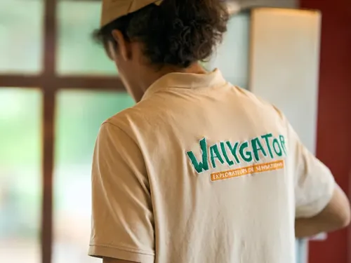 L’invité du jour : on vous dit tout sur le Job Dating à Walygator