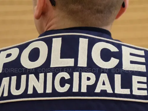 Fête de la musique : plusieurs cas de piqûres signalés en Lorraine 