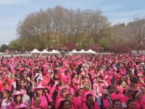 La Messine : 75 000 € récoltés pour cette édition 2025