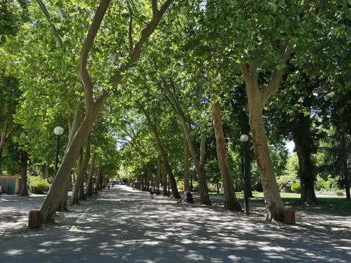 Nancy : Pourquoi le parc de la Pépinière sera fermé ce mardi et ce...