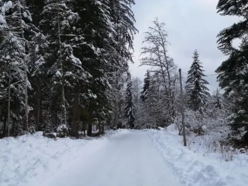 Vosges : les premiers skieurs sont déjà là !
