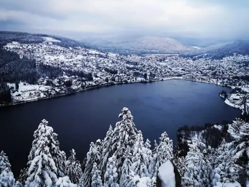 Lorraine : Pourquoi parle-t-on d’une star mondiale dans les Vosges ?