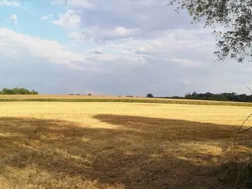 Météo : deux départements lorrains placés en vigilance rouge pour...