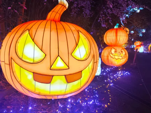Bêtes & Sorcières : un festival pour découvrir une Moselle «...