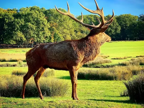 A gagner dans le Wake Up : Vos places pour le parc de Sainte-Croix