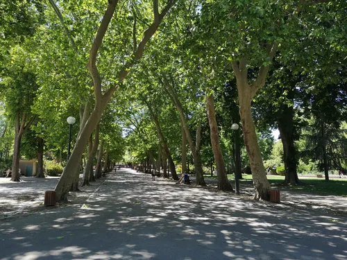 Nancy : la rencontre « Pépinière en vert » c’est ce week-end 