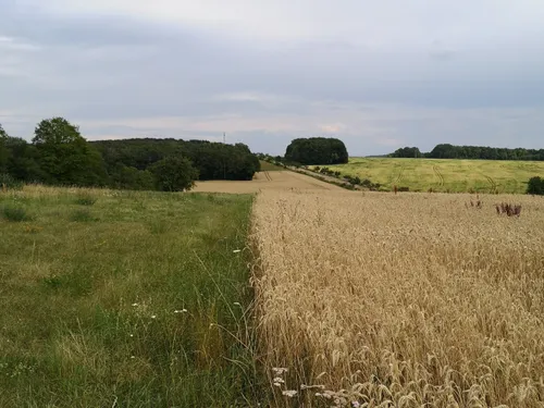 Sécheresse : quelles sont les restrictions mises en place dans une...