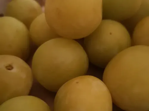 Fêtons à nouveau la Mirabelle à Metz !