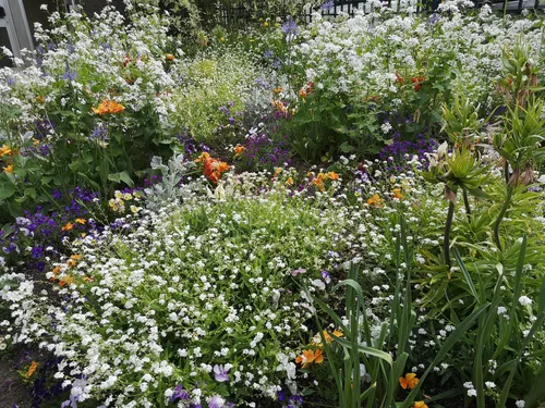 Metz : une nouvelle exposition au jardin botanique pendant la...