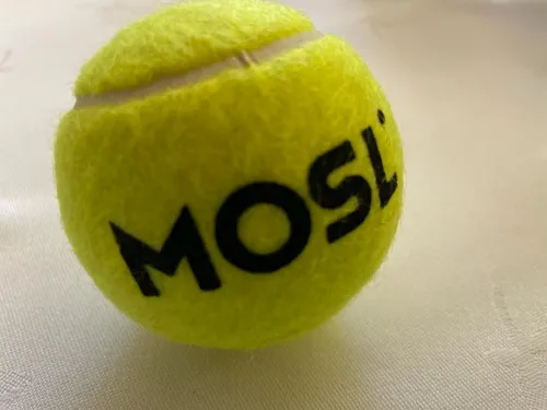 Moselle Open 2023 : les trois premiers joueurs annoncés
