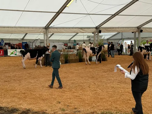 D!RECT FM à la 44e Foire Nationale de Verdun !