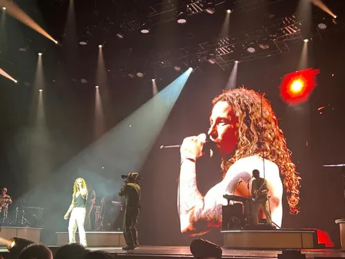 Concert de Julien Doré : une chenille géante dans la Galaxie...