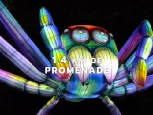 Luminescences :  Le Zoo d'Amnéville entre dans la lumière cet hiver