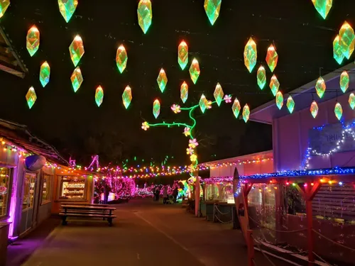 Bilan 2023 : l’année lumineuse du Zoo d’Amnéville