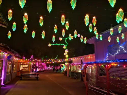 Luminescences 2024 : l’Asie s’invite au Zoo d’Amnéville