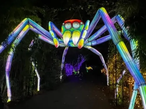 LUMINESCENCES : « Un parcours encore plus fou que l’année dernière »