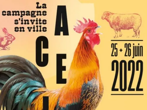 Metz. La campagne s’invite en ville avec Macellum !