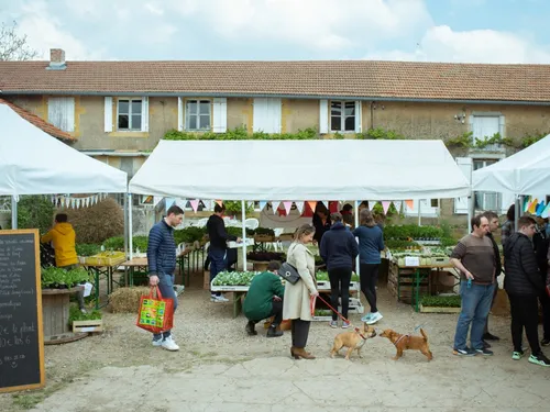 Ferme de Domangeville : une vente de plants organisée le 1er mai 