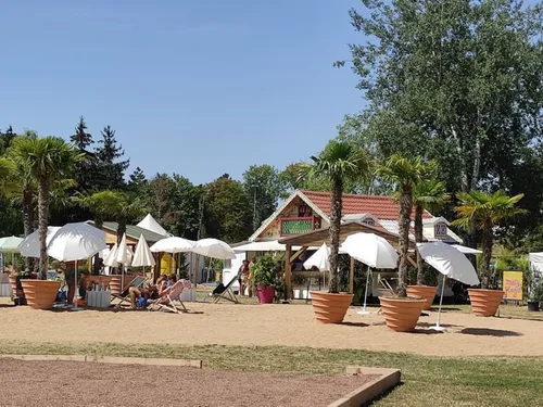 Découvrez la date de la grande vente des plantes de Metz Plage ! 