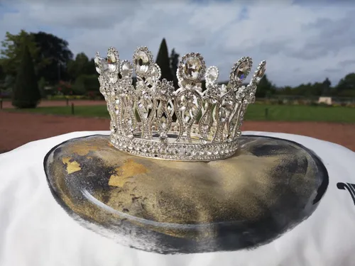 L'édition 2022 des Fêtes de la Mirabelle s’annonce exceptionnelle !