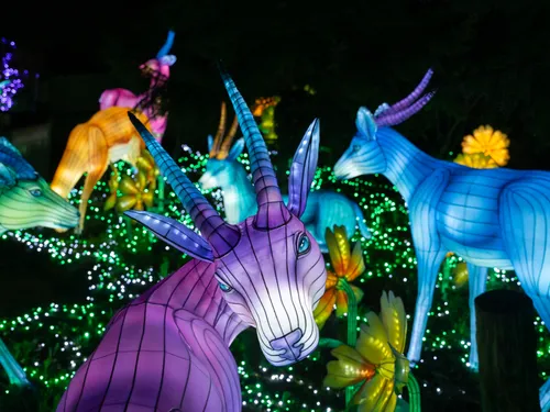 Photos : découvrez cette deuxième édition de Luminescences